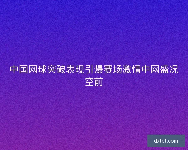 中国网球突破表现引爆赛场激情中网盛况空前