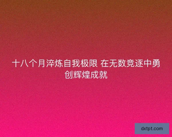 十八个月淬炼自我极限 在无数竞逐中勇创辉煌成就