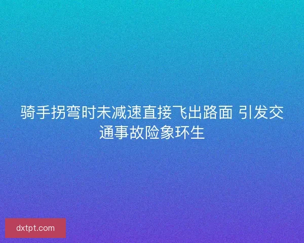 骑手拐弯时未减速直接飞出路面 引发交通事故险象环生