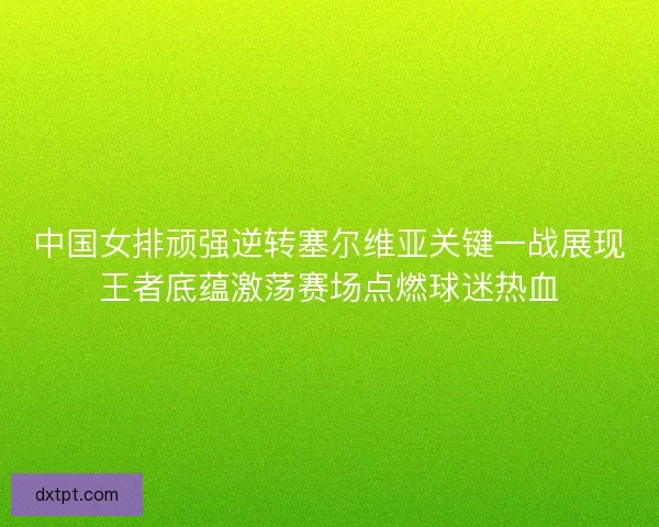 中国女排顽强逆转塞尔维亚关键一战展现王者底蕴激荡赛场点燃球迷热血
