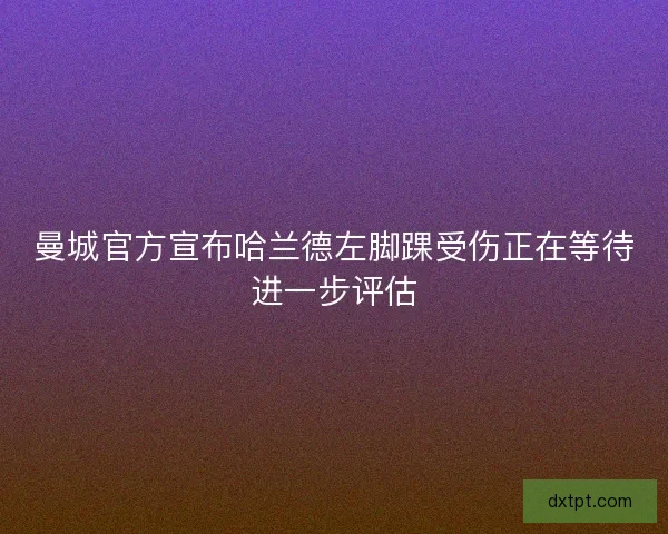 曼城官方宣布哈兰德左脚踝受伤正在等待进一步评估